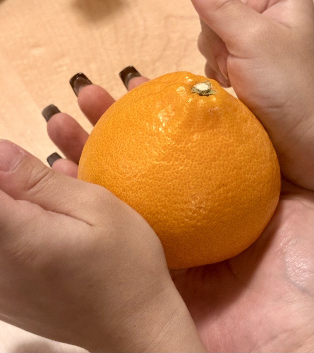 おおきいいちごとおおきいみかん🫶