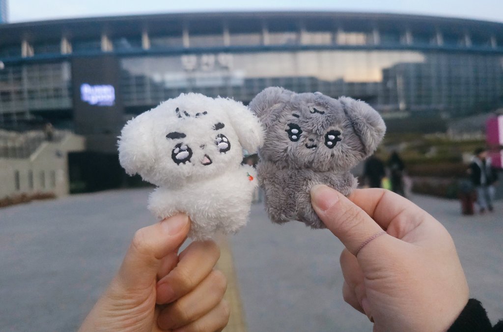 킹받는체리 tweet media