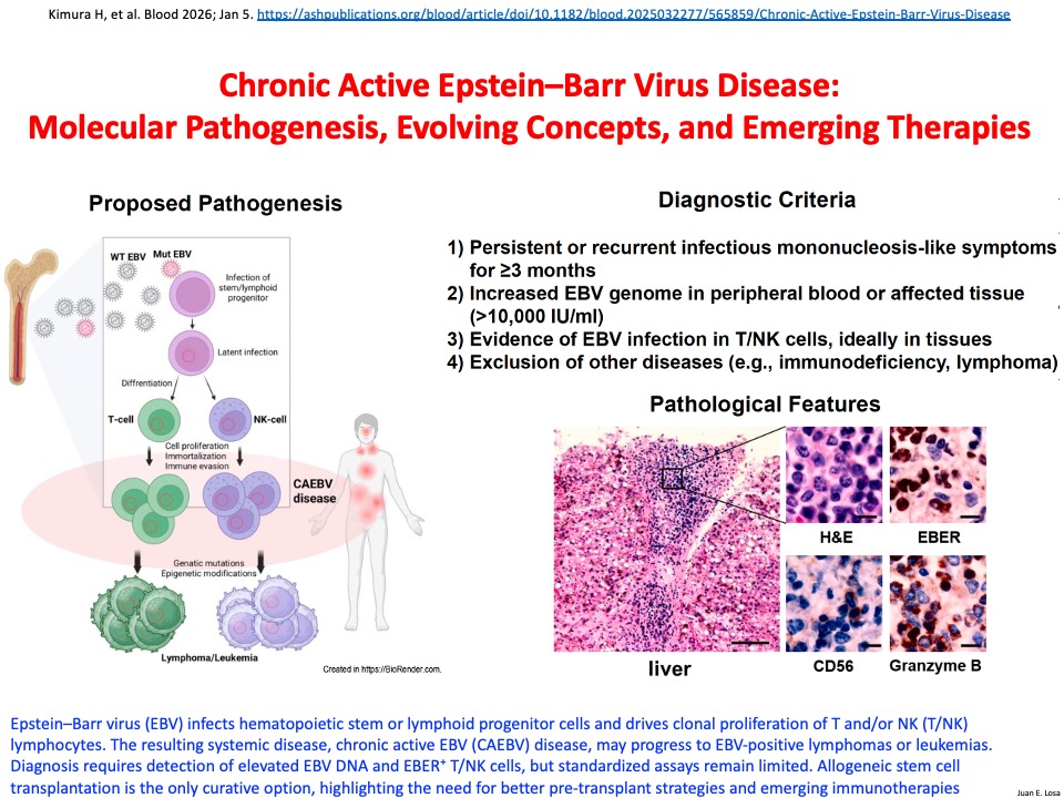 Juan E Losa. Infectólogo. HUFA. URJC. Sandoval Sur tweet media