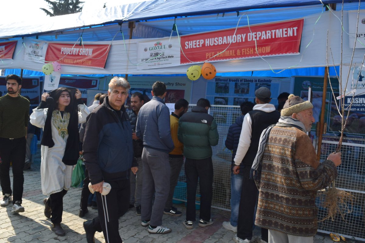 Directorate Of Sheep Husbandry Kashmir tweet media