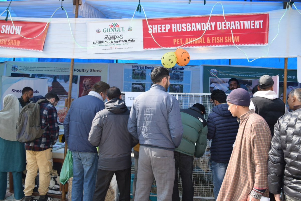 Directorate Of Sheep Husbandry Kashmir tweet media