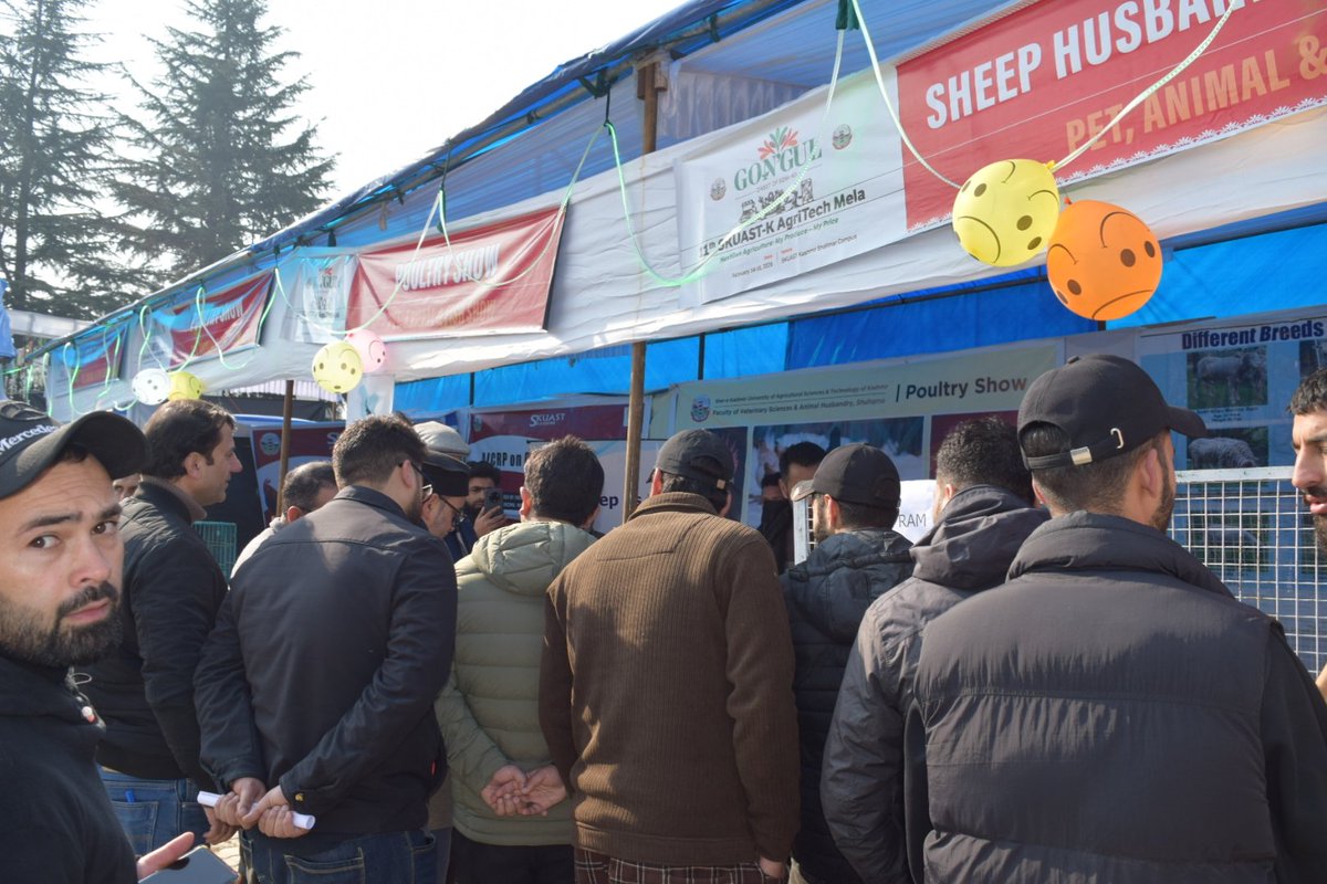 Directorate Of Sheep Husbandry Kashmir tweet media