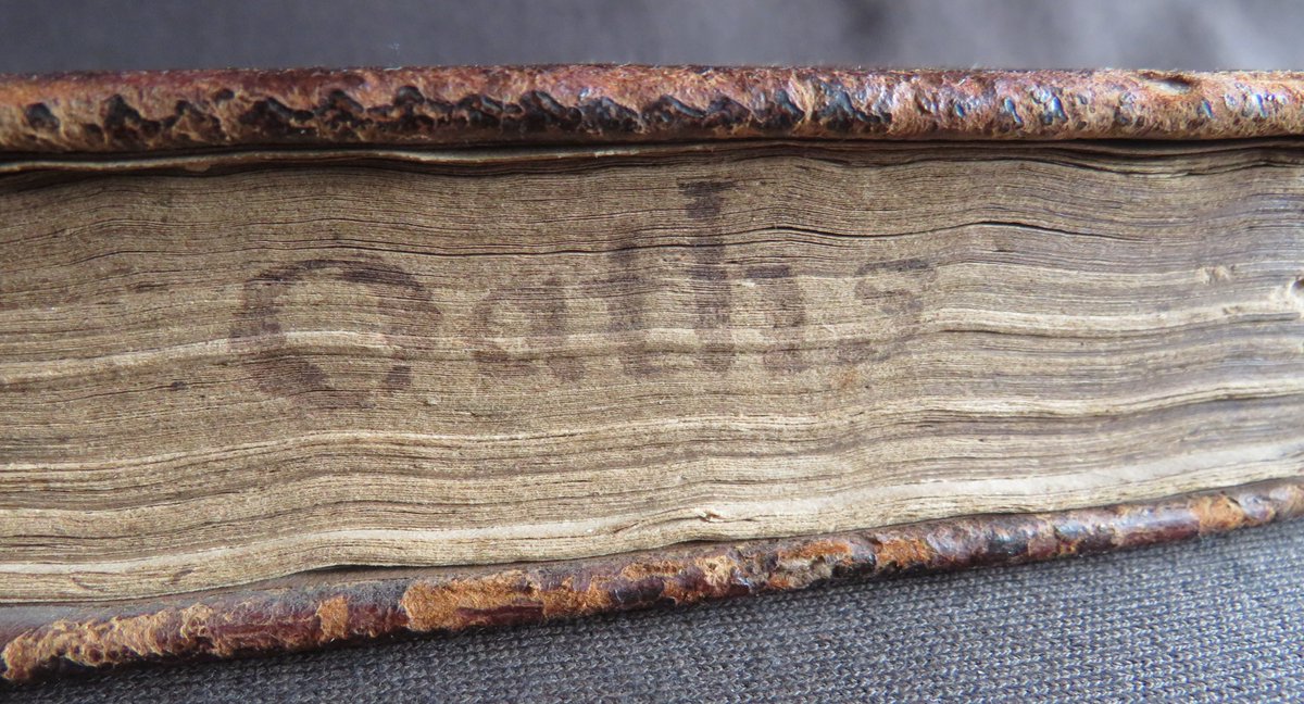 wisdompedlars's tweet image. BOOK of OATHS 1649 COMMONWEALTH Professions ALLEGIANCE Garnet OFFICES King 1st

#books #antiquarian #oaths #17thcentury #professions #offices #Garent #King #firstedition #Commonwealth #bookauction 
bit.ly/4kngm3H