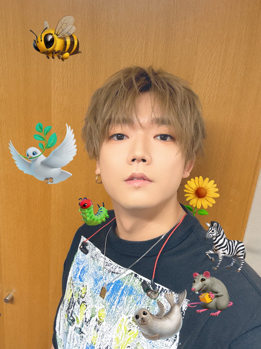 めいちゃん（最強） (@meynico) / Posts / X