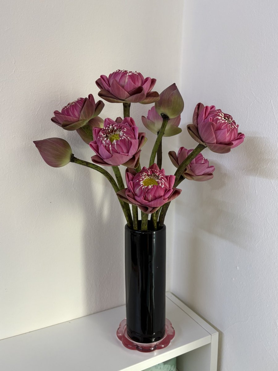 น่ารักเลยล่ะ 🪷