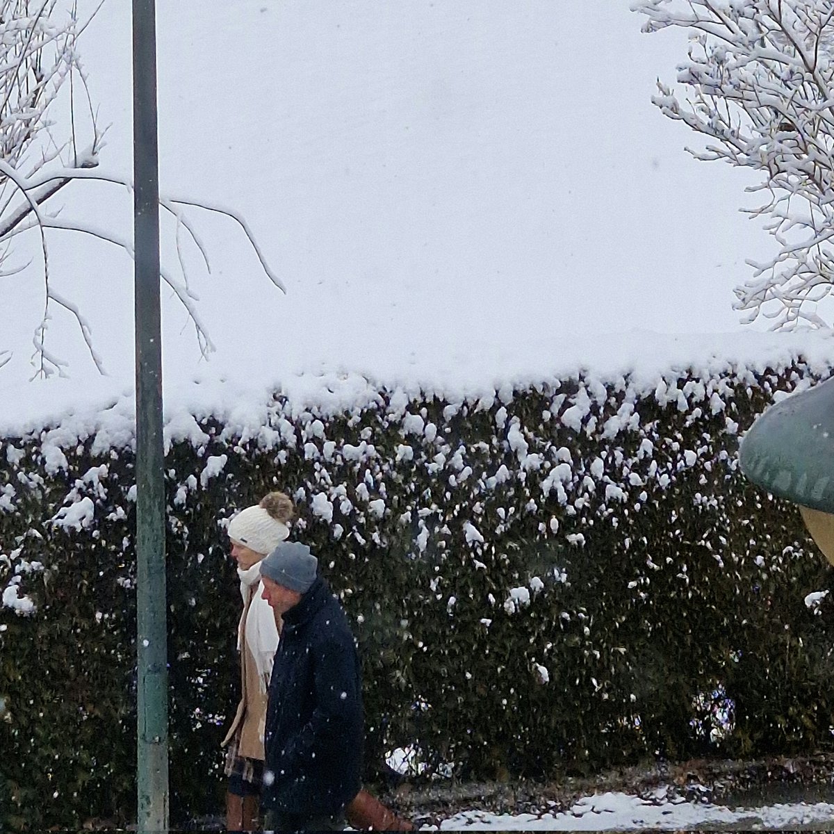 BellaLuna tweet media