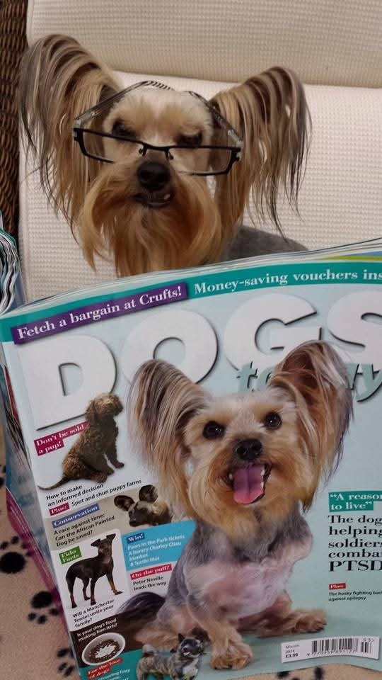 𝓜𝓻 𝓟𝓮𝓵𝓾𝓬𝓬𝓱𝓲 tweet media