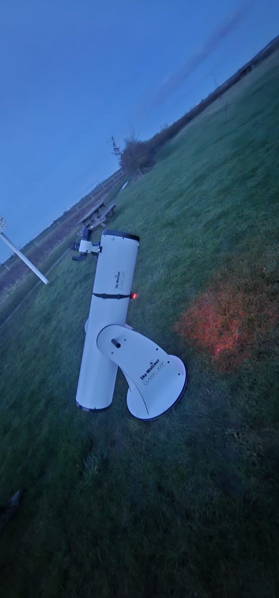 Tiptree Star Gazers tweet media