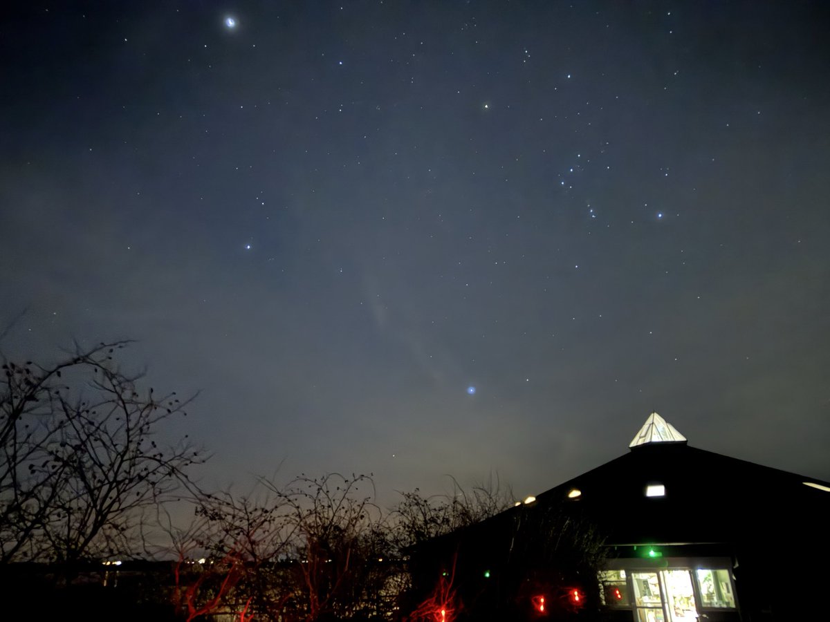 Tiptree Star Gazers tweet media