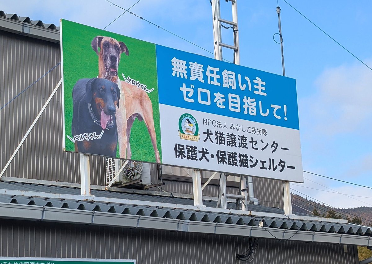 YoZZ24tMbZaweXz's tweet photo. 今日はREDinBLUEのドラマーザキ君も参加してくれて総勢１０名で支援物資のお届けとお手伝いへ🐶🐱
まず各猫部屋を分かれて掃除やご飯＆おやつをあげる
ここは猫砂の代わりに新聞紙を使っています
皆一度は飼われていたのに見放された子達
新たな飼い主を待ってる間にシェルターで亡くなる事もあります https://t.co/ArU28KC2xm