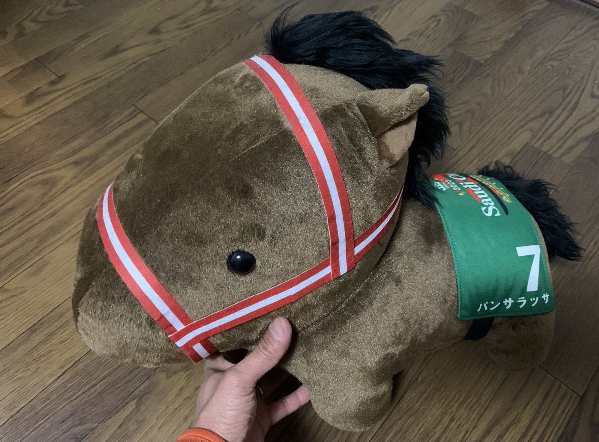 矢作先生のサウジでの伝説は、この馬から始まったんですよね。 #矢作芳