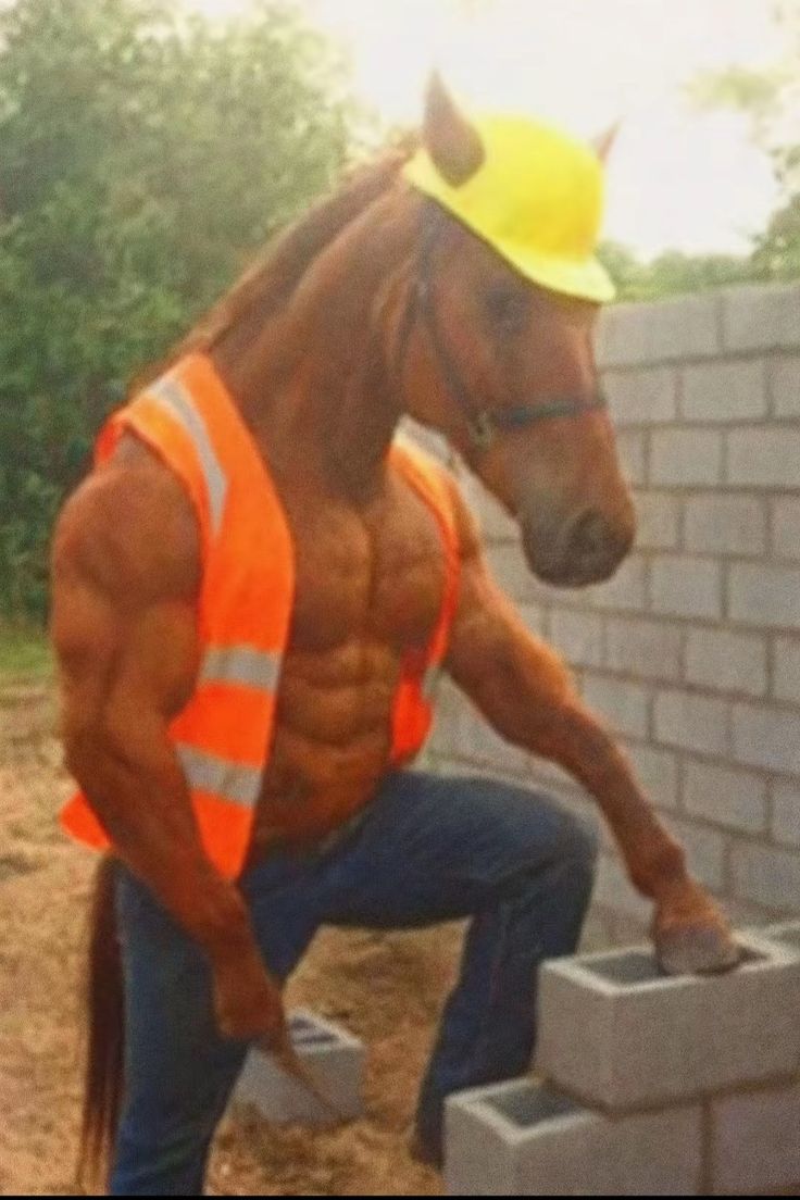 Year Of The Horse tweet media