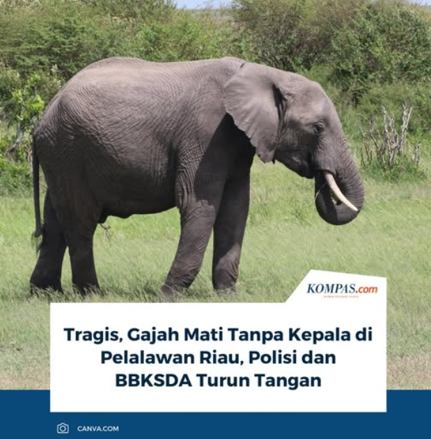 Soe Tjen Marching tweet media