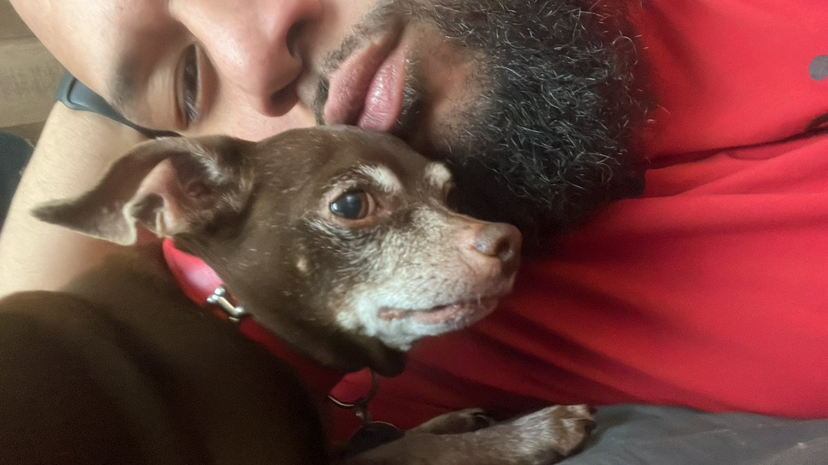 Pisup0's tweet photo. I love you, mi Roberto 🥺💔🕊️ https://t.co/0juior6x8T