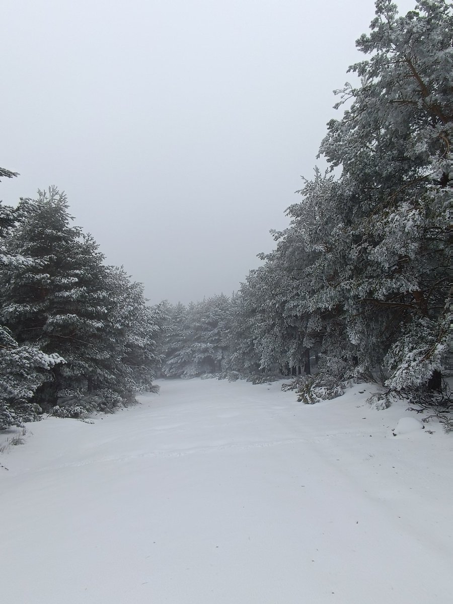 sostribado's tweet photo. Llegando a las campanas del Frontón #avila #Gredos #Horcajodelaribera https://t.co/SZ88aEEruA