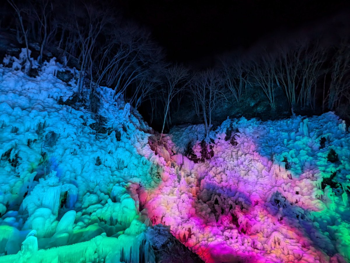 ろたん tweet media