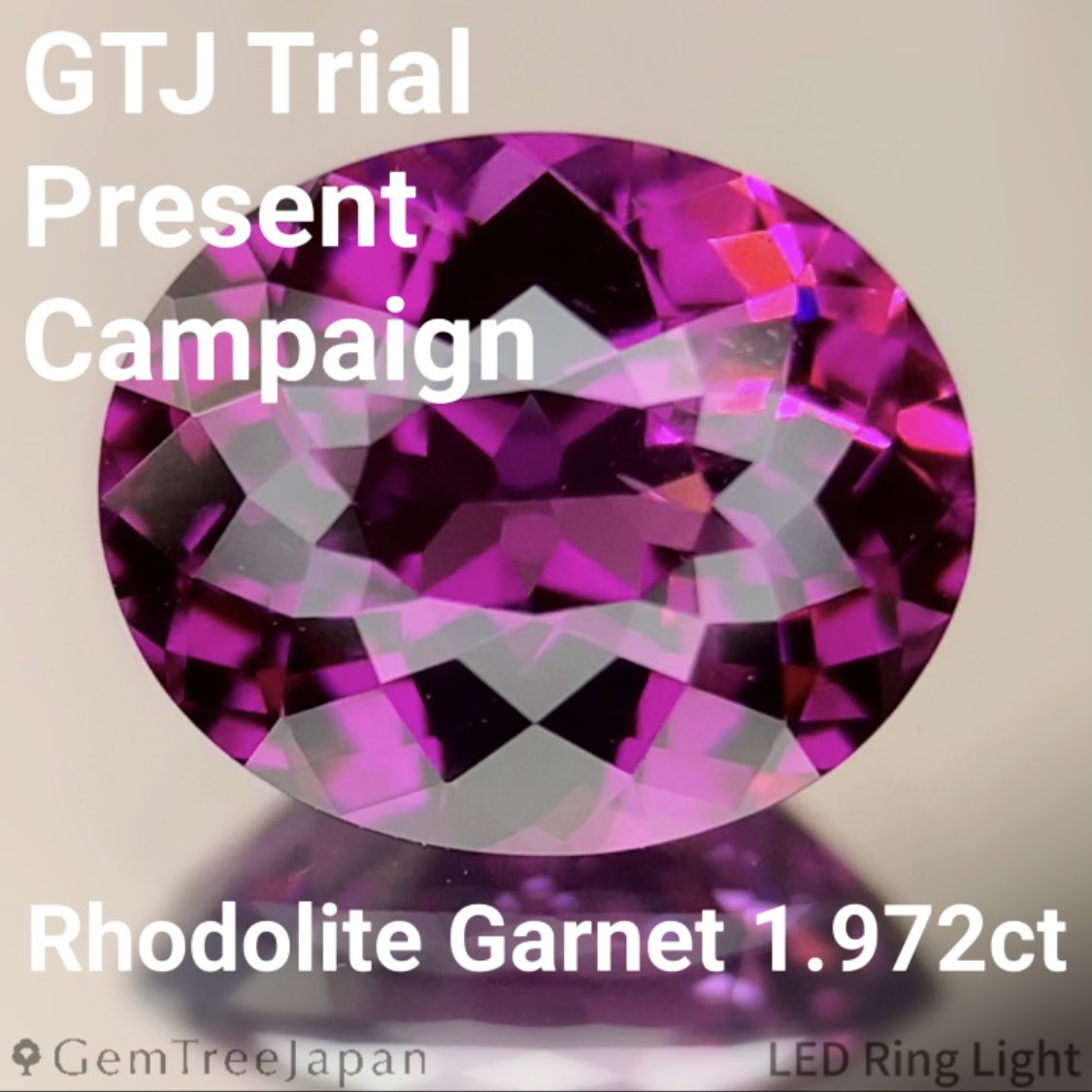 GemTree_Japan's tweet photo. 💎GTJ Trial Weekend Finale🎁

GTJトライアルウィークエンド最後に

ロードライトガーネット 1.972ct
（超ギラカット）プレゼント開催✨

「高品質な宝石を、できる限り無料に近づける」

GTJの理念を体現した企画です🌳

▼参加方法
①このポストをいいね＆RP
②フォームから応募

詳細・エントリーはhttps://t.co/cvf0YtqG9zにて

〆切：2/18(水)