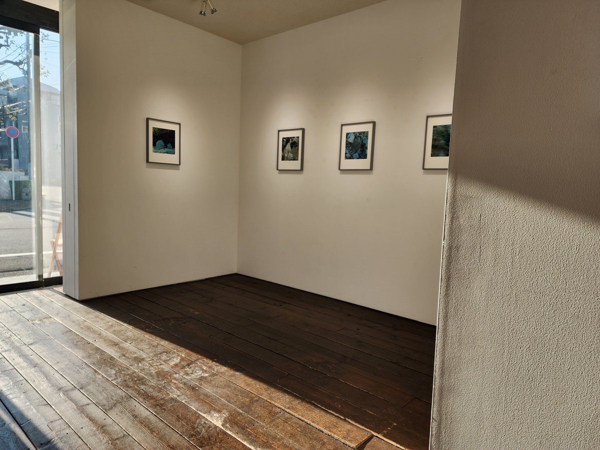 恵比寿映像祭・地域連携プログラムの一つ、中目黒「POETIC SCAPE」、柿崎真子さんの写真展「音のはじまり」
元々は生地・青森の写真を撮っていた作家。この展覧会は色んな場所の写真。一続きの風景の一部を切り取って視線を集めることで、観る側に意味が生まれる。「似ている所、見たことある」とか。