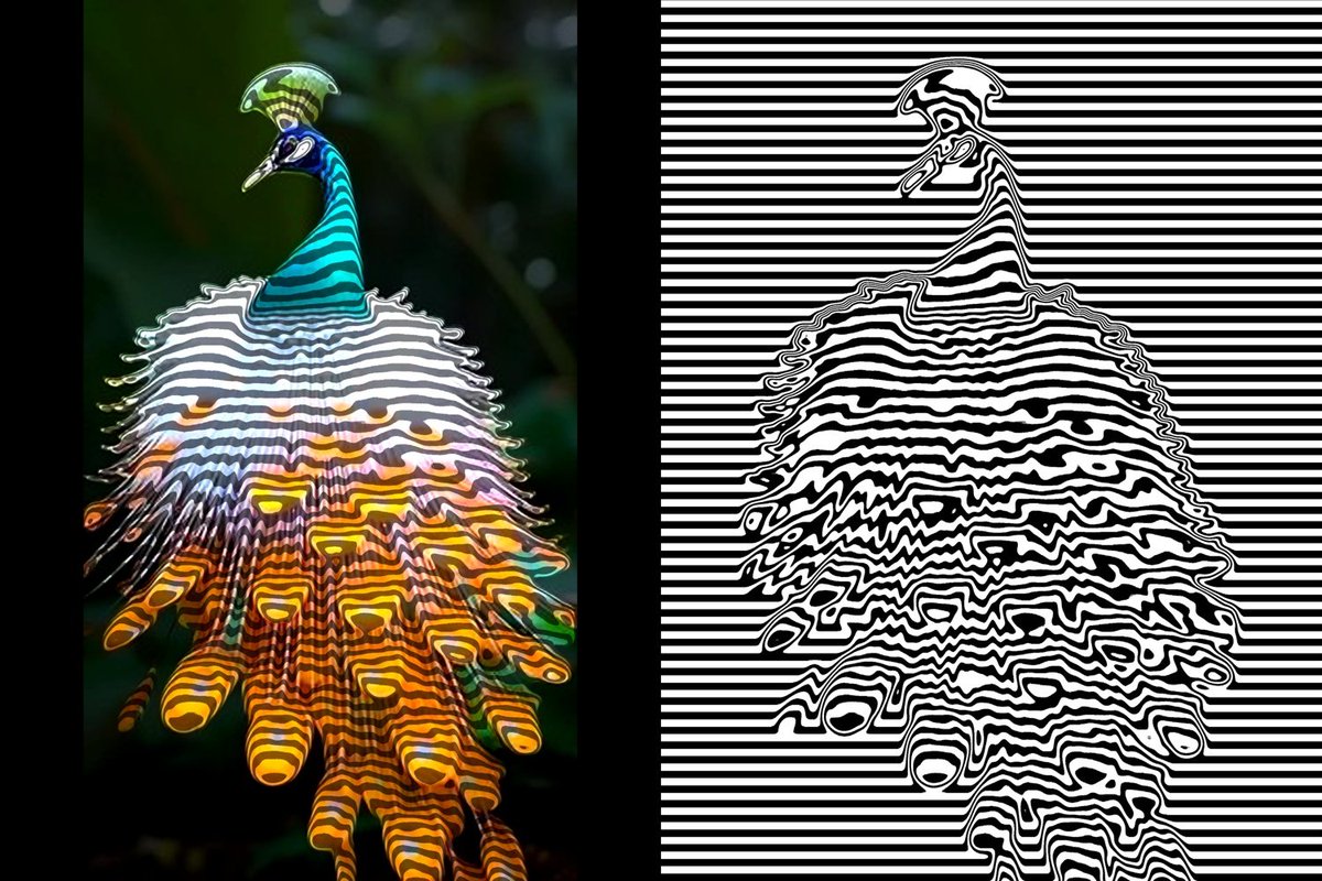 Creativecoding tweet media