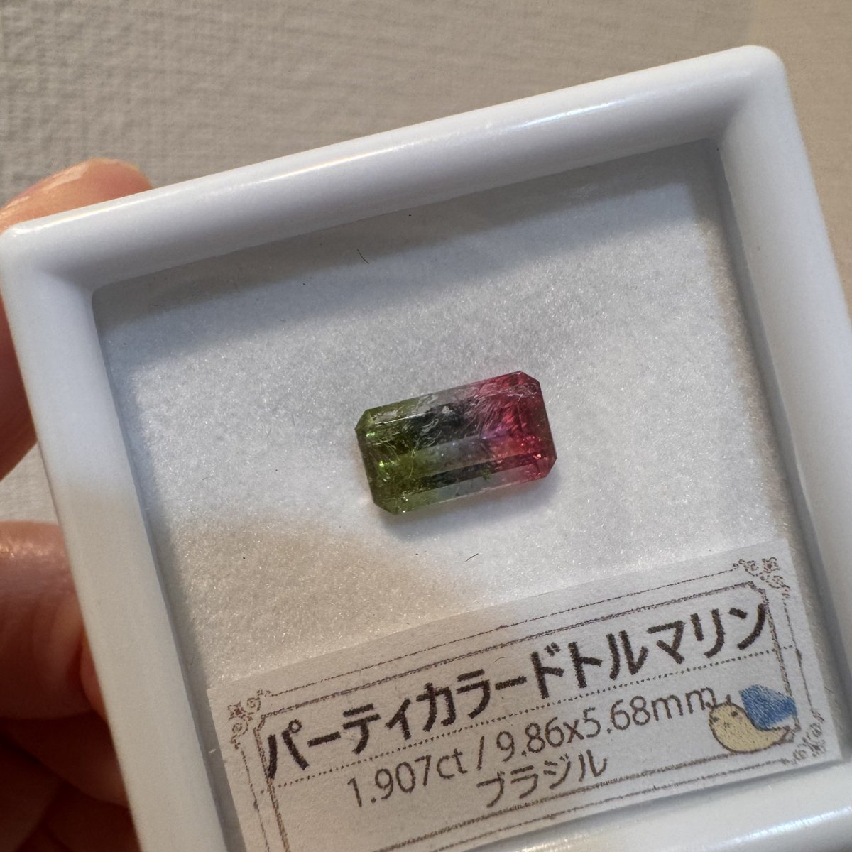 apple53moon's tweet photo. 1年ぶりの #宝石つむり （@gem_tsumuri ）チームの皆様💎🐌
石沼に入ってすぐ、1番最初に宝石って楽しい！って気持ちを教えてくれたお店🫶🏻
相変わらず楽しい皆様🤣
そしてやっぱりルースが綺麗だし、色が好みだったりレアな石種も✨
泣く泣く沢山置いて来た…🫣
楽しい時間をありがとうございました🎶 https://t.co/o4esR2BVIQ