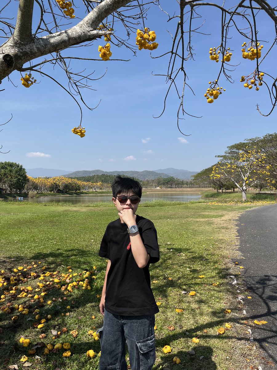 palmmiitom's tweet photo. สวัสดีเจียงฮาย 🌻 #ทอม https://t.co/A5tXUOv0nN