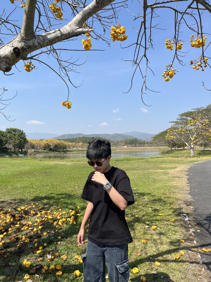 palmmiitom's tweet photo. สวัสดีเจียงฮาย 🌻 #ทอม https://t.co/A5tXUOv0nN