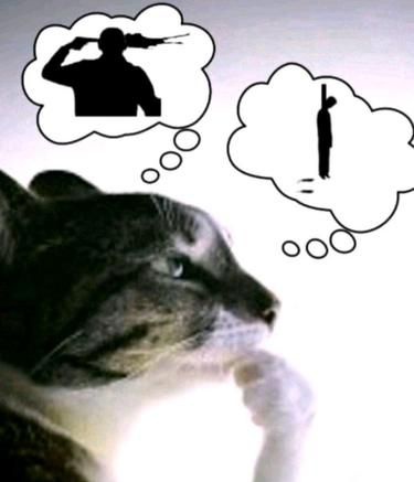 h-60 utebeka dan gua hampir bundir alias STRES BGT KOSYAKK