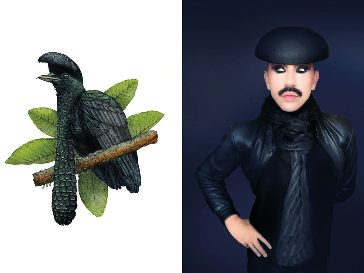 Paul Harfleet tweet media