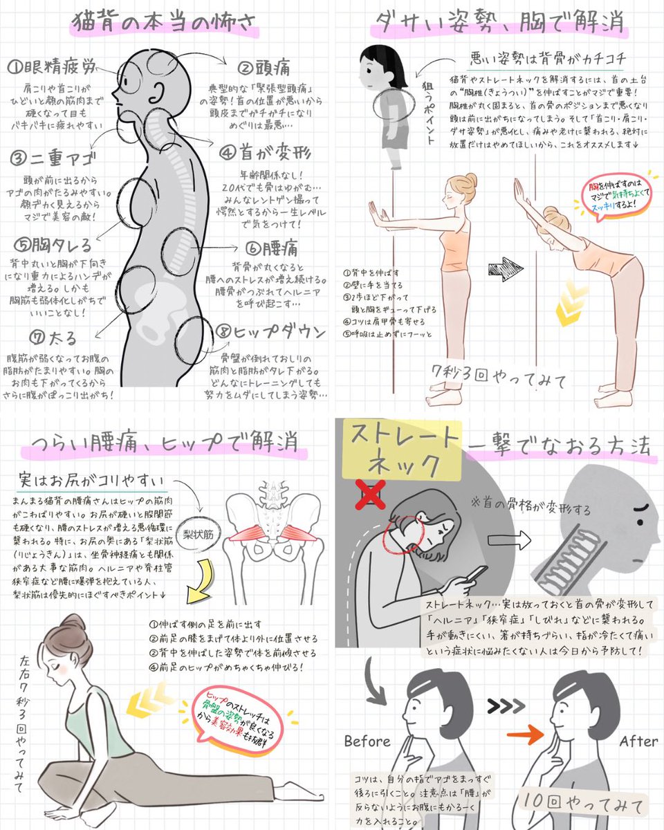 猫背にはこれも効く↓