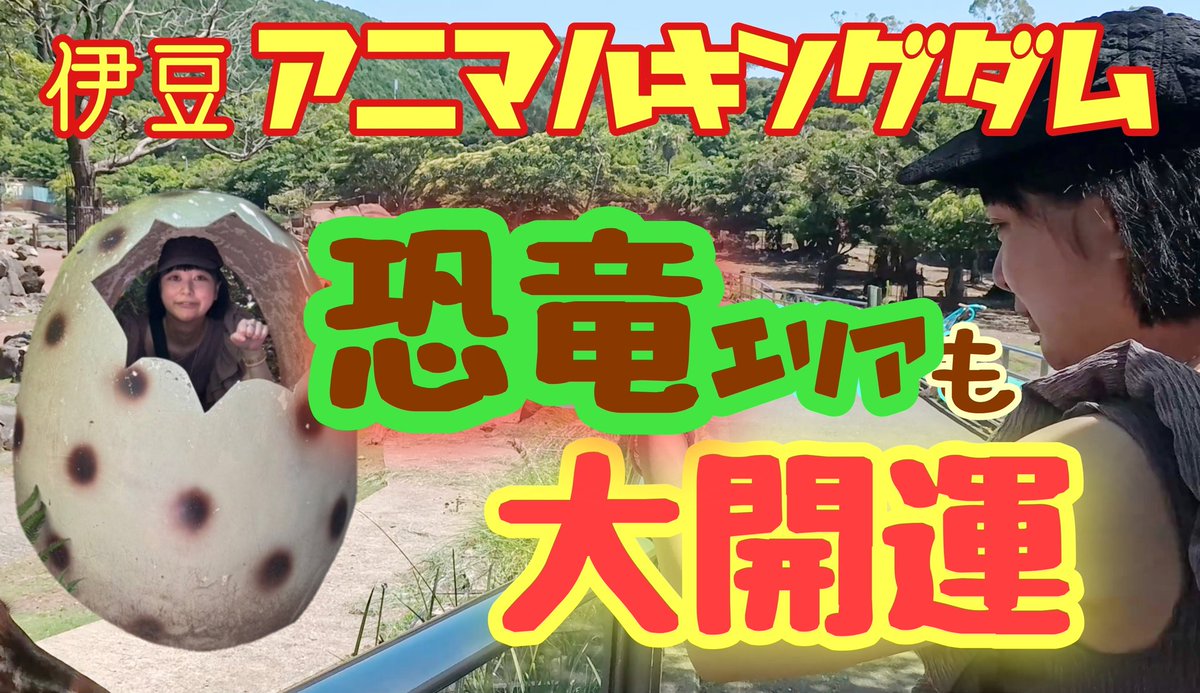 kosugimarimo's tweet photo. 伊豆アニマルキングダムさんの開運映像⛩️動物園、とても開運だよね🦒
みなさんも開運しましょう。開運🐐開運🐒#開運
https://t.co/MwBTKTlKrs https://t.co/TwdGbtMDrQ
