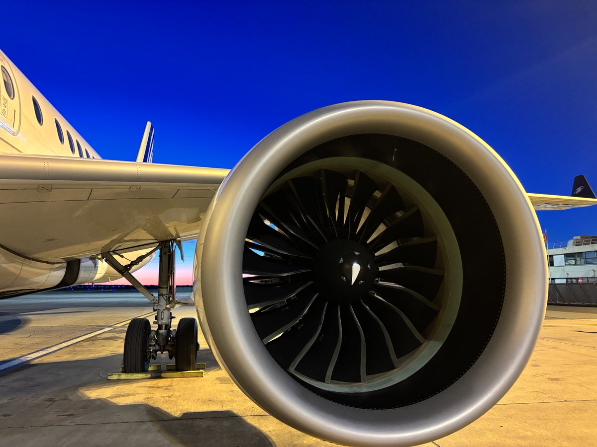 F.✈️⭐️ tweet media