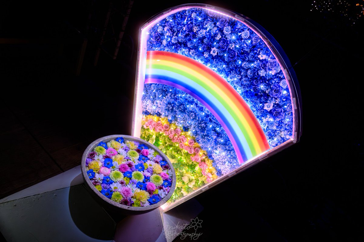 📷：𝙉𝙞𝙠𝙤𝙣 ℤ9 lens：NIKKOR ℤ24-70mm f/2.8 S II 撮影地：神奈川