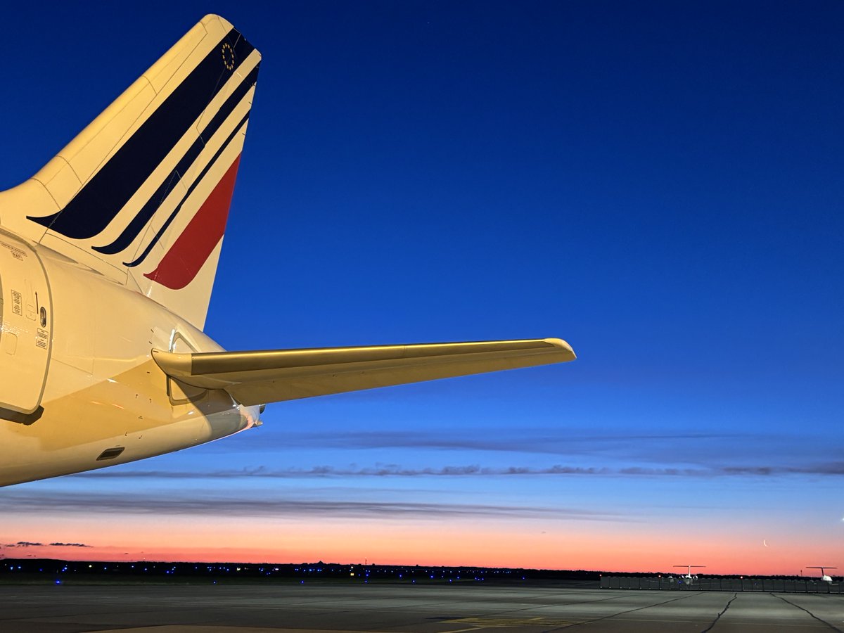 F.✈️⭐️ tweet media