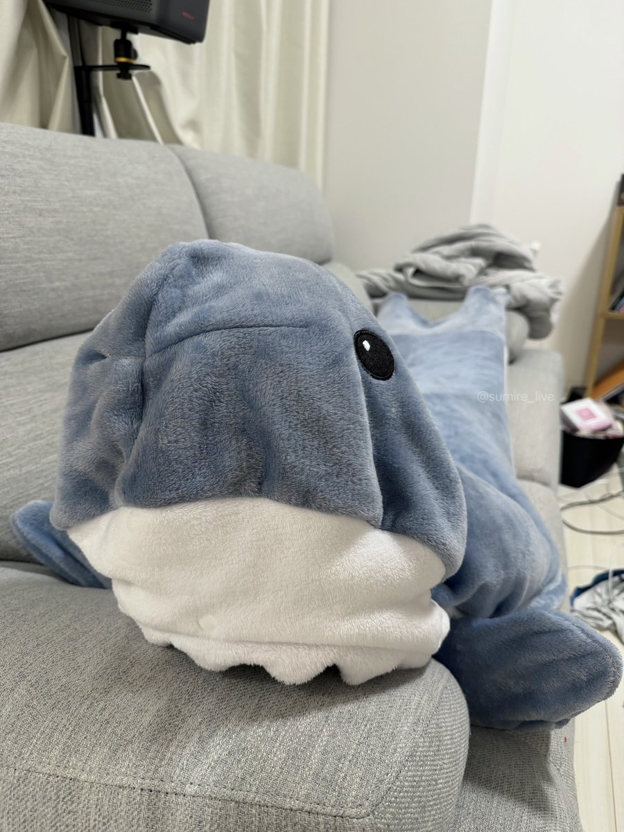 サメパジャマ彼女、どう？🦈 https://t.co/DWjpvAV7Rs