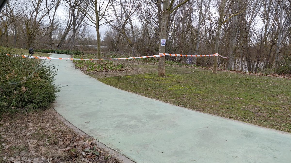 ⛔ El Ayuntamiento mantiene cerradas las zonas más próximas al río del Parque Lúdico de la Ribera

⬆️ El caudal del Pisuerga se sitúa esta mañana en 663 m³/s y la CHD señala que la tendencia es ascendente

⚠️ Evita el paso por los márgenes en toda la ribera de Arroyo