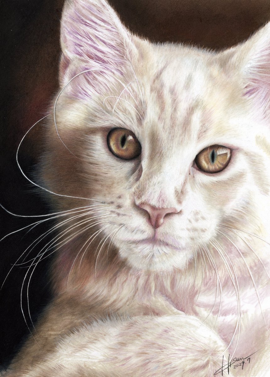 知名度を上げたいので拡散してください 色鉛筆でモフッてます