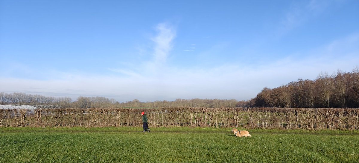 DeDebosschereD's tweet photo. Lauwe 10u12
#vrtweer https://t.co/H4c8h7DwwH