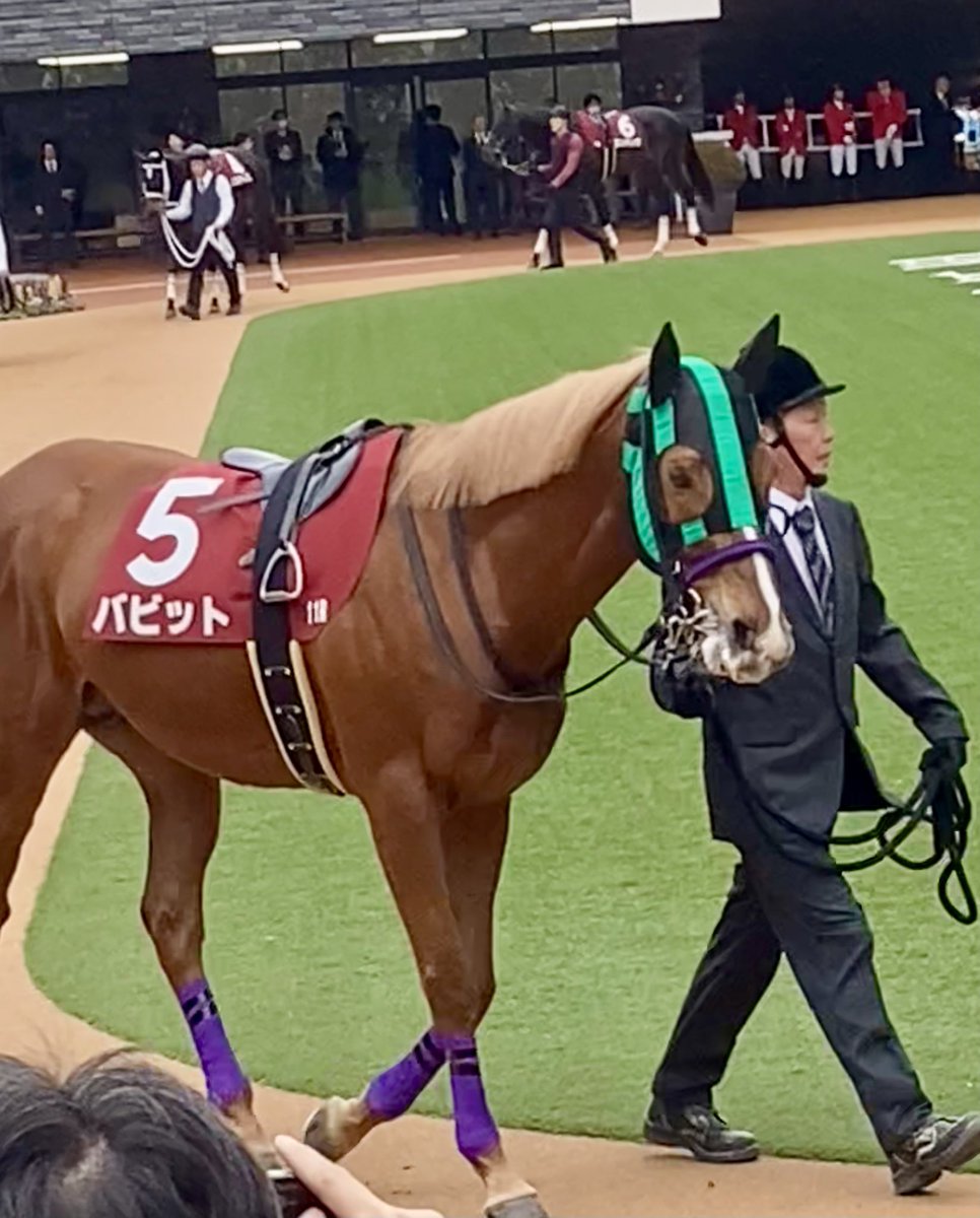 かつみ (@jiouWDBtmVgnDk8) / Posts / X