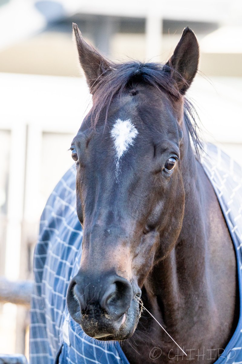 かつみ (@jiouWDBtmVgnDk8) / Posts / X