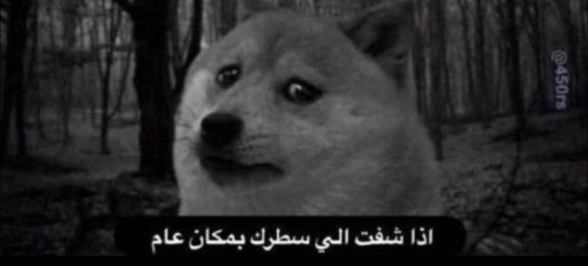 تويستد ضد كريزي راكون