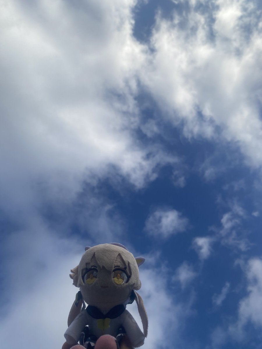 abuo11271226's tweet photo. ヒフミ、来年も走ろうな https://t.co/xL6ZVVdImR