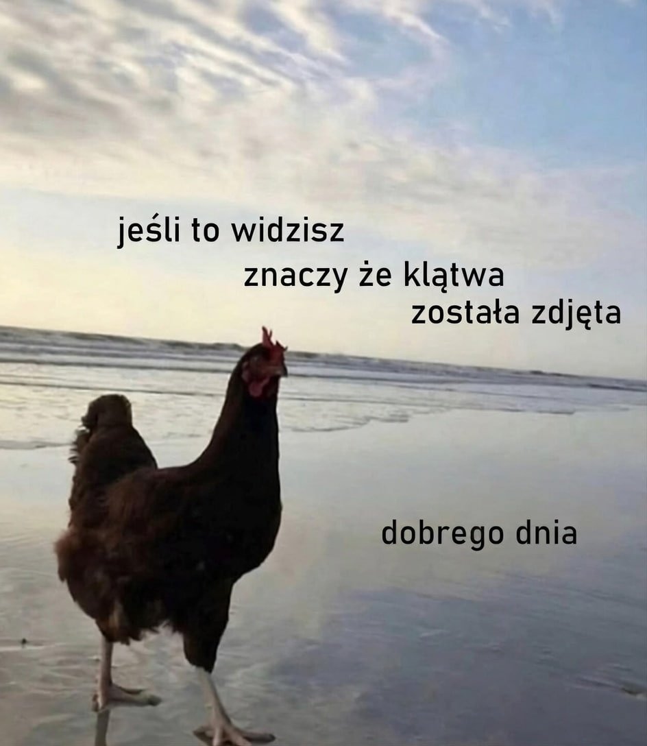 donald_PL_'s tweet photo. Nareszcie https://t.co/zOIf4W8qtO