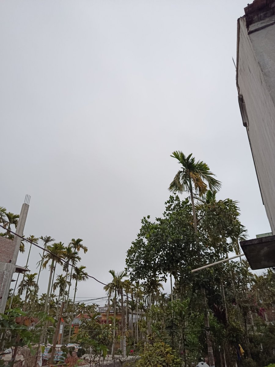 Good evening x family 
A peaceful village scene at dusk.