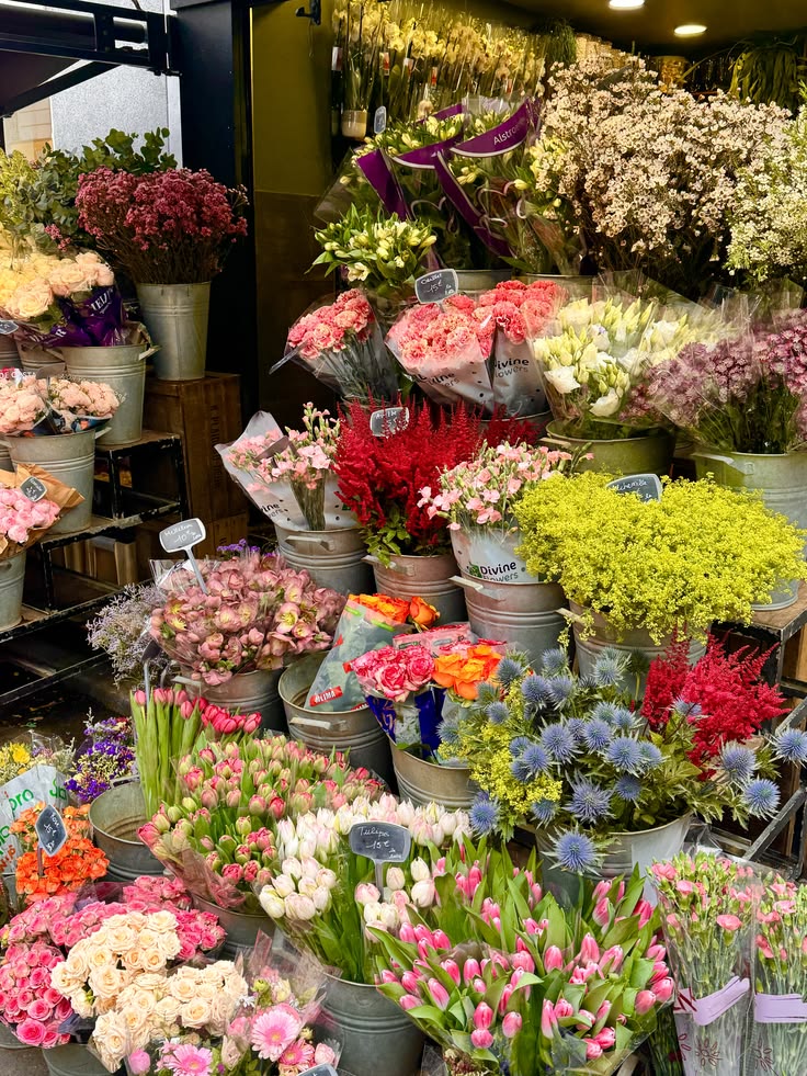 phollukidukaan's tweet image. 