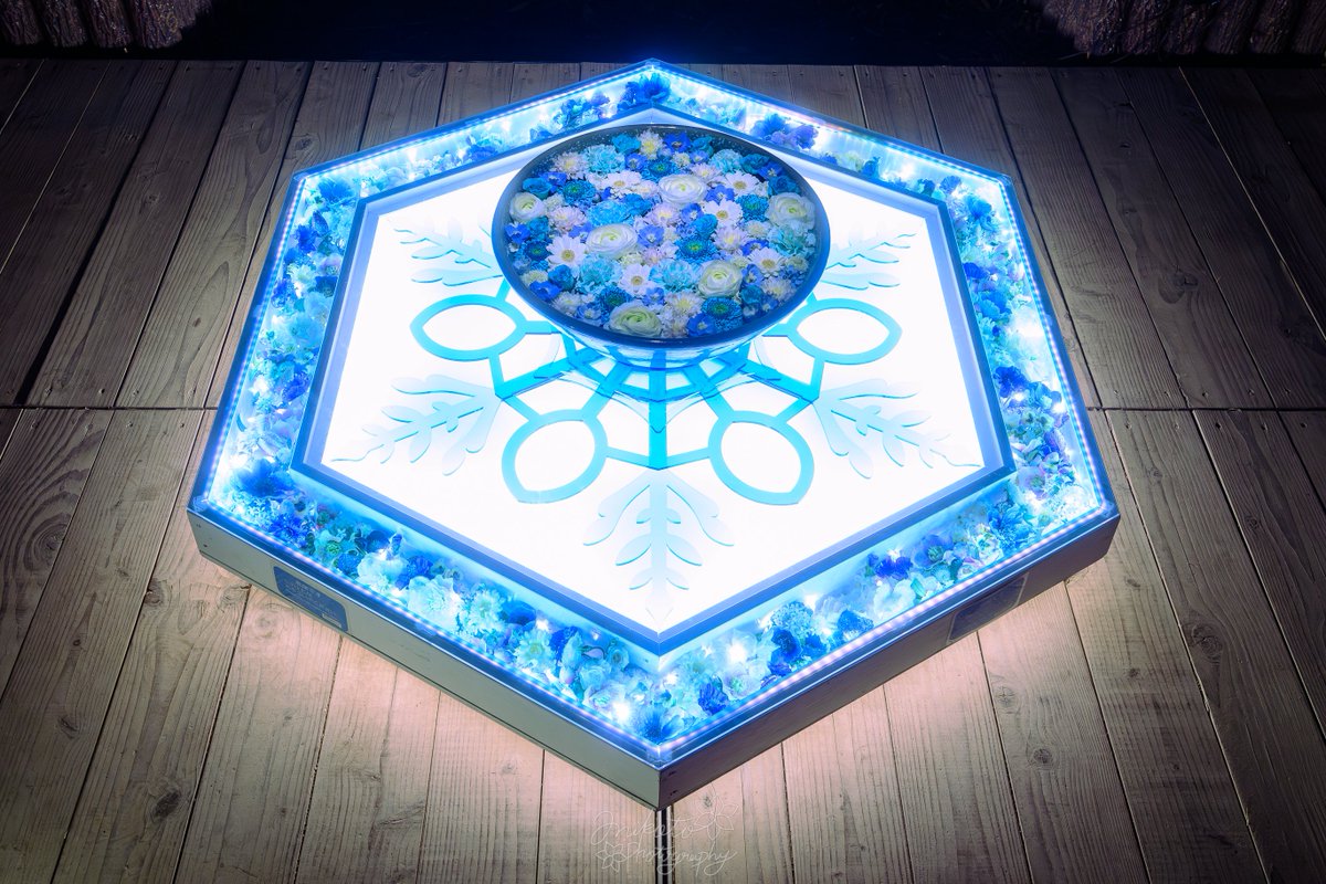 📷：𝙉𝙞𝙠𝙤𝙣 ℤ9 lens：NIKKOR ℤ24-70mm f/2.8 S II 撮影地：神奈川