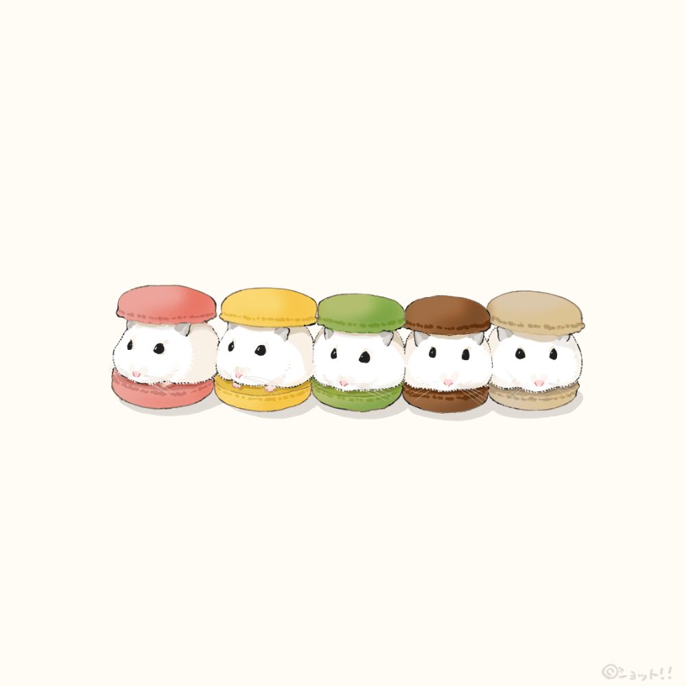 🌈Hamichu🐹 (@hamichiu) / Posts / X