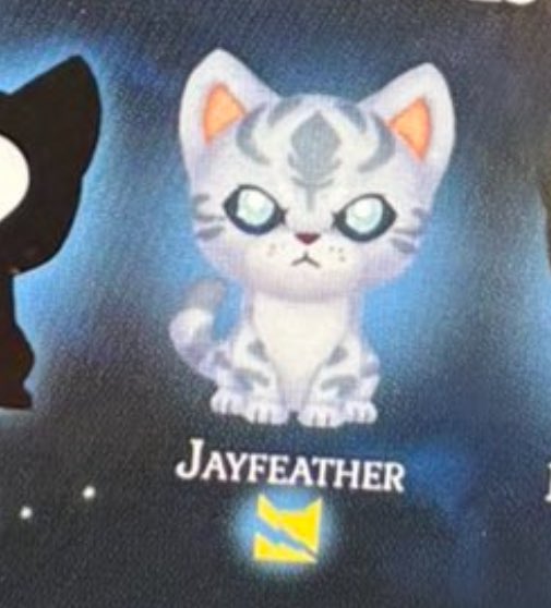 simons 🐈 tweet media