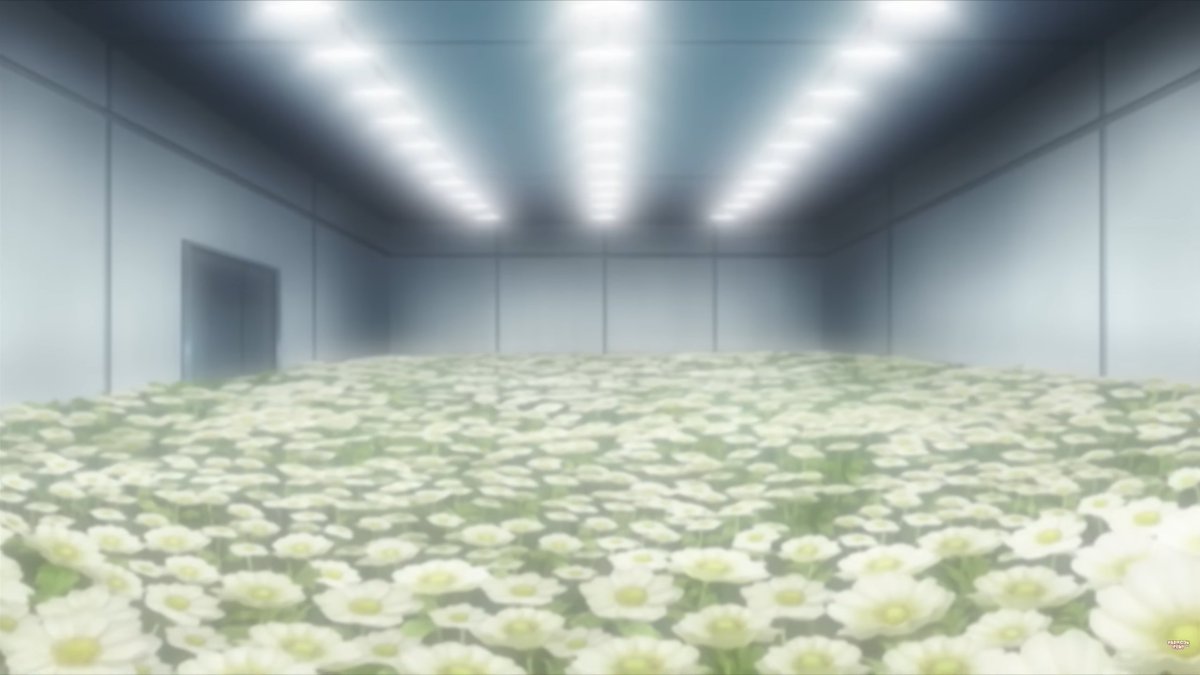 เบียคุรัน: ช่วยส่งดอกไม้ไปให้โชจังที่ญี่ปุ่นหน่อยได้มั้ย

ดอกไม้ที่มันส่งมา: