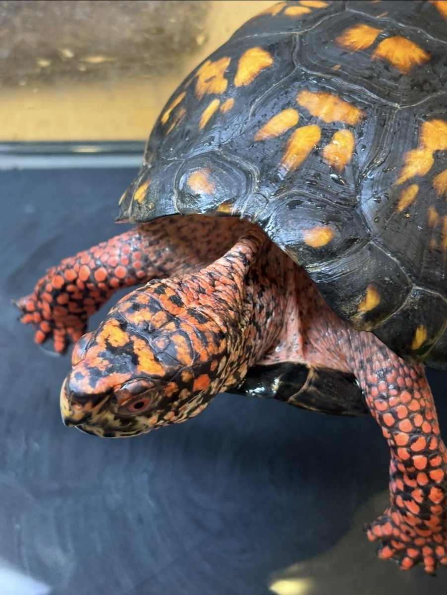 Land-mark tweet media