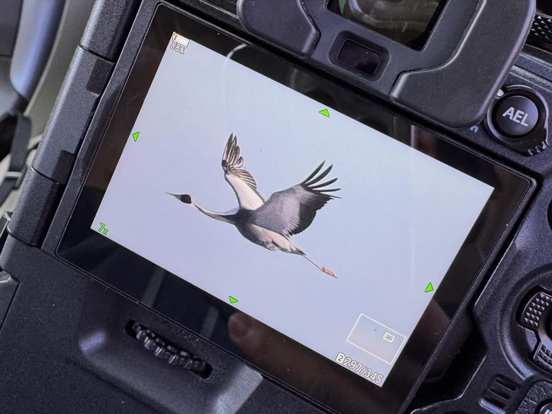 우리애가 새 홈마라니요 😮